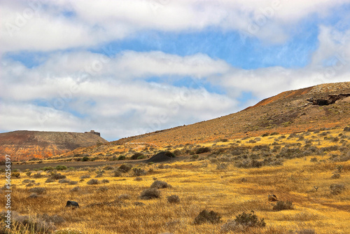 Distese erbose dell'isola di Lanzarote
