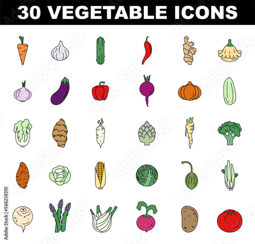 Vegetables colored icons set. Simple line symbol of fresh veggies