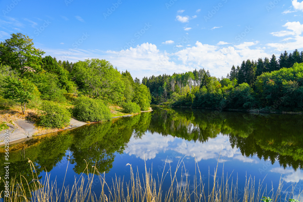 Landscape at the Unterer Eschenbacher Teich. Nature at the lake near