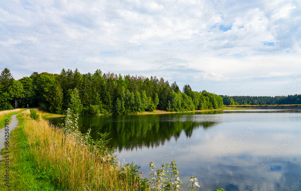 Landscape at the Unterer Haus-Herzberger Teich. Nature at the lake near Clausthal-Zellerfeld in the Harz National Park. Former mining pond.
