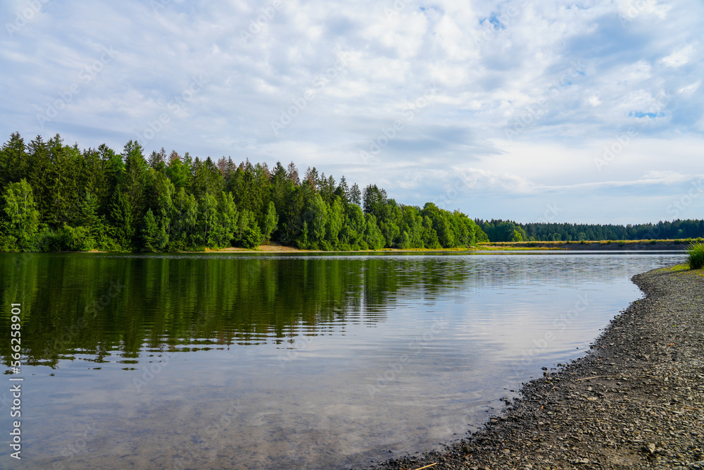 Fototapeta premium Landscape at the Unterer Haus-Herzberger Teich. Nature at the lake near Clausthal-Zellerfeld in the Harz National Park. Former mining pond.