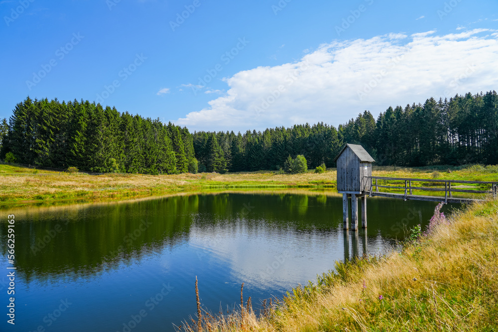 Obraz premium View of the landscape at the Wasserläufer Teich near Clausthal-Zellerfeld. Idyllic nature by the lake in the Harz National Park. Old mining pond. Water strider pond.