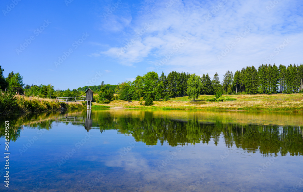 View of the landscape at the Wasserläufer Teich near Clausthal-Zellerfeld. Idyllic nature by the lake in the Harz National Park. Old mining pond. Water strider pond.


