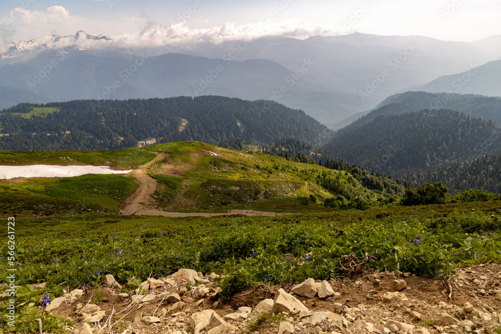Russia, Sochi, Krasnaya Polyana. Summer landscapes of the Caucasus mountains in Rosa Khutor 