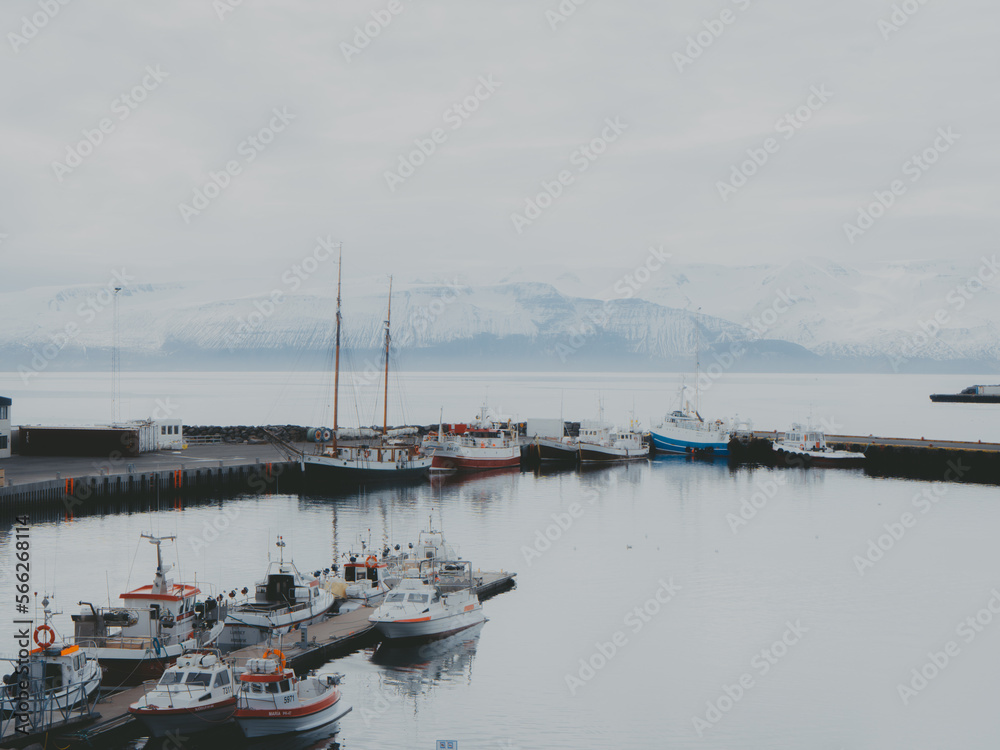 Fishing boats resting peacefully in the fjord's harbor, birds circling in search of food on a cold, cloudy day, snow-capped mountains in the background.