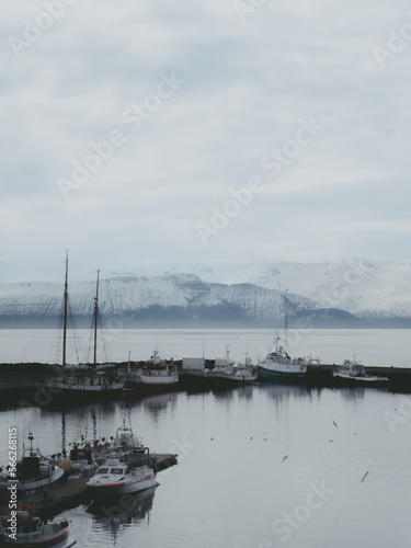 Fishing boats bob serenely in an Icelandic fjord, surrounded by flocks of birds searching for food in the choppy waters, set against a backdrop of snow-capped mountains and a cold, cloudy sky.