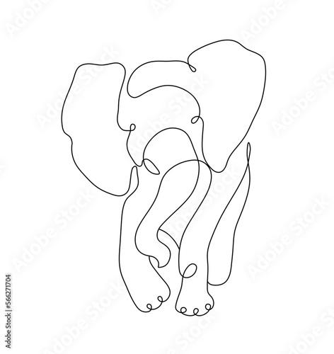 Vector isolated one single contemporary line elephant front view colorless black and white contour line easy drawing