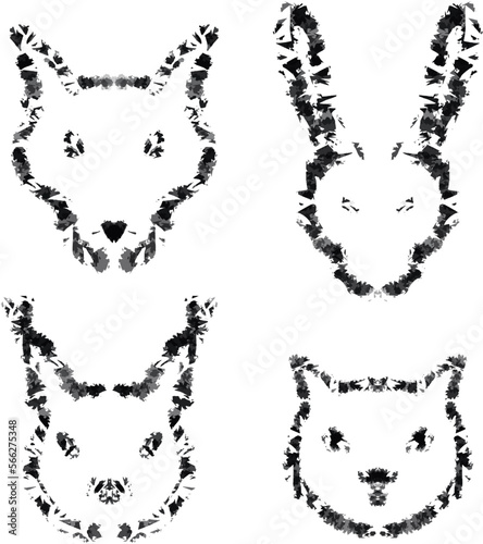 wolf and cat
