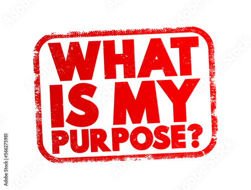 What Is My Purpose question text stamp, concept background