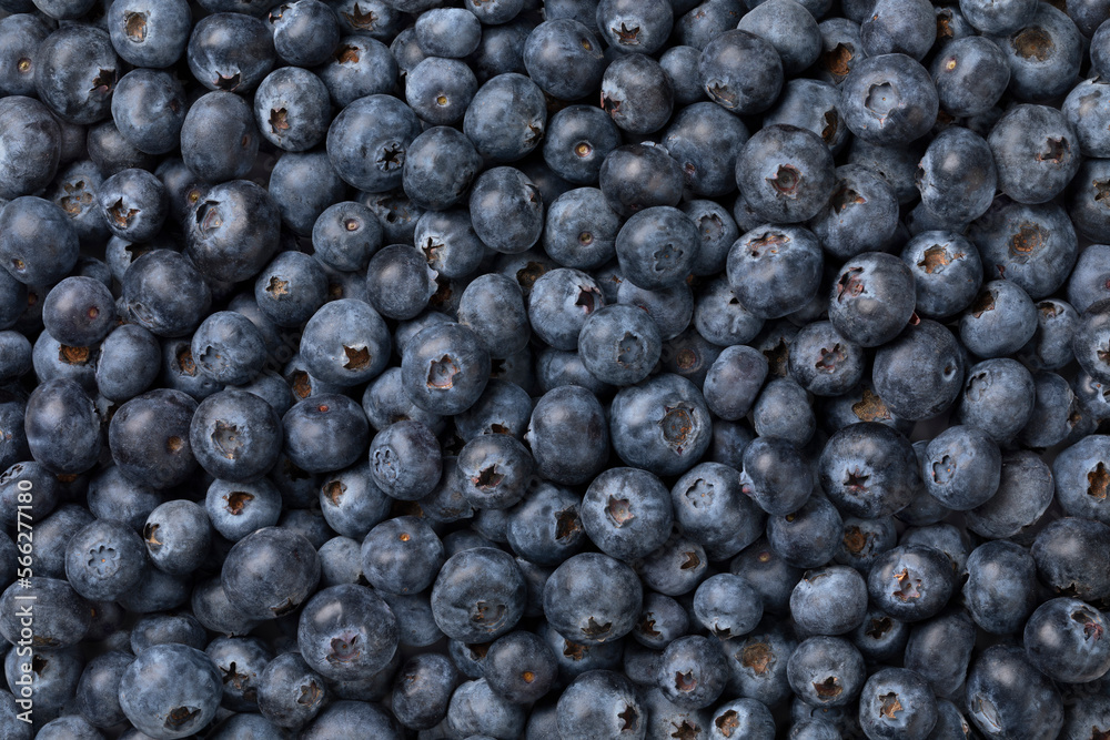 Fresh ripe blueberries close up full frame as background Fresh ripe blueberries close up full frame as background