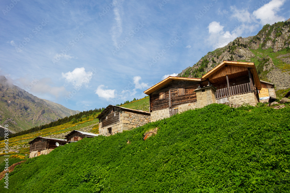 A beautiful landscape from the Elevit uplands of Rize in Black Sea region of Turkey. 