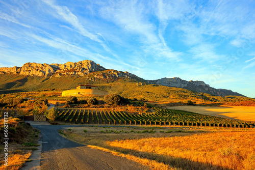 The architecture of Bodegas Ysios