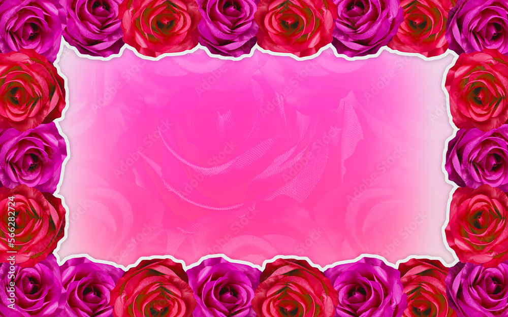 red and pink rose flowers frame on white pattern, blur white and blue roses background, love, valentine, object, decor, copy space