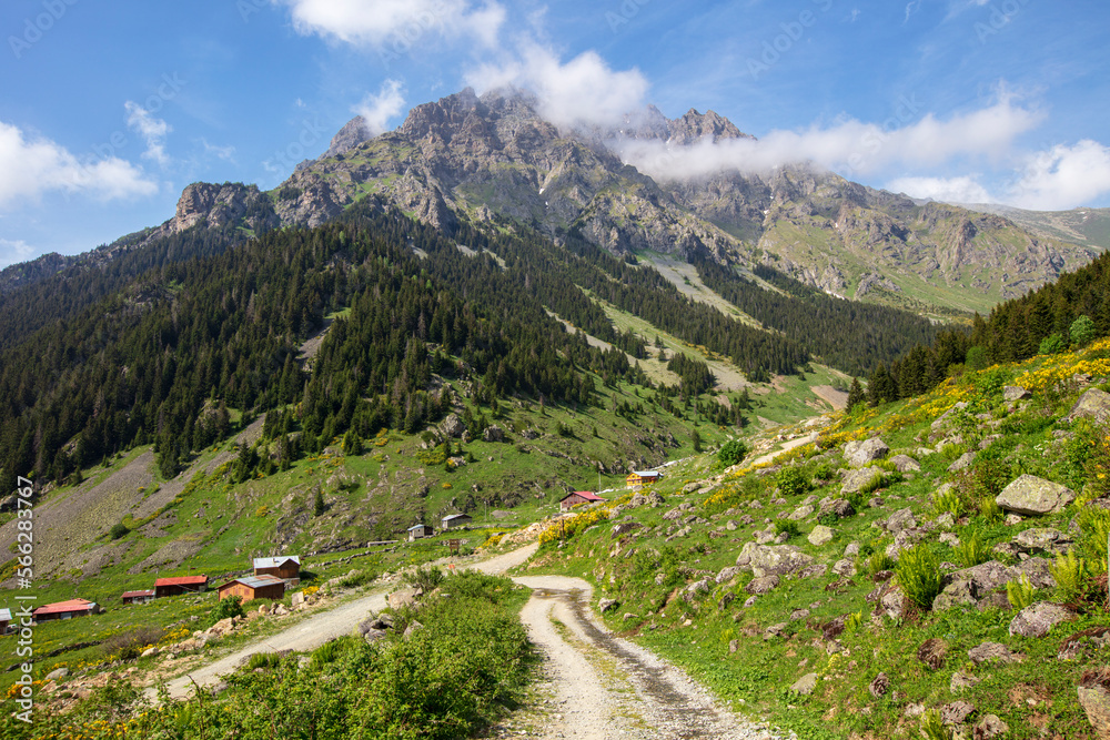 A beautiful landscape from the Elevit uplands of Rize in Black Sea region of Turkey. A beautiful landscape from the Elevit uplands of Rize in Black Sea region of Turkey.