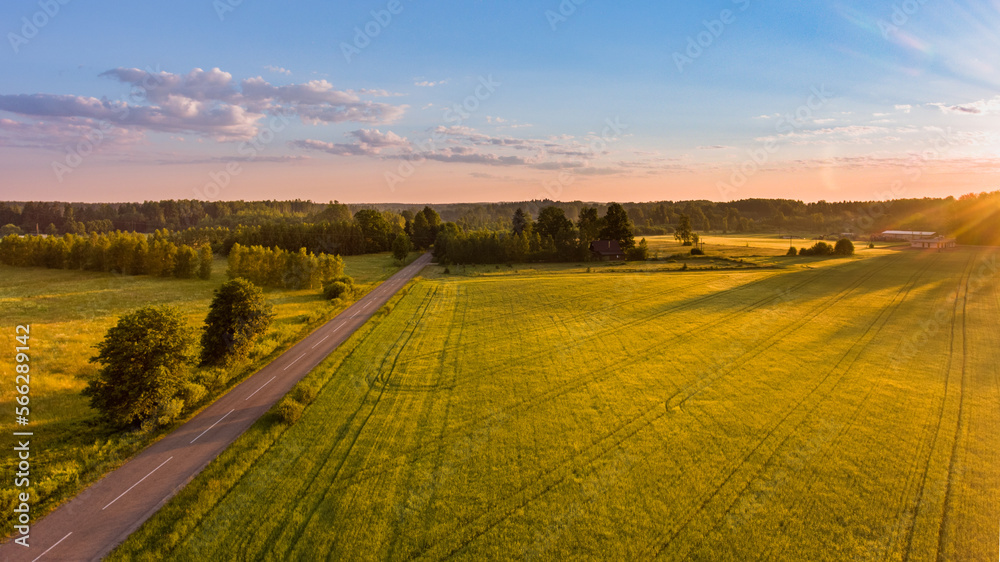 Fototapeta premium Sunset and autumn country road