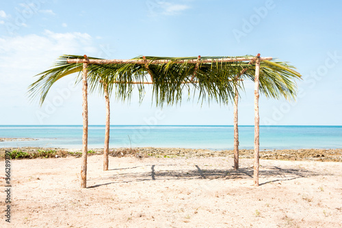 Manmade leafy structure on a beach photo