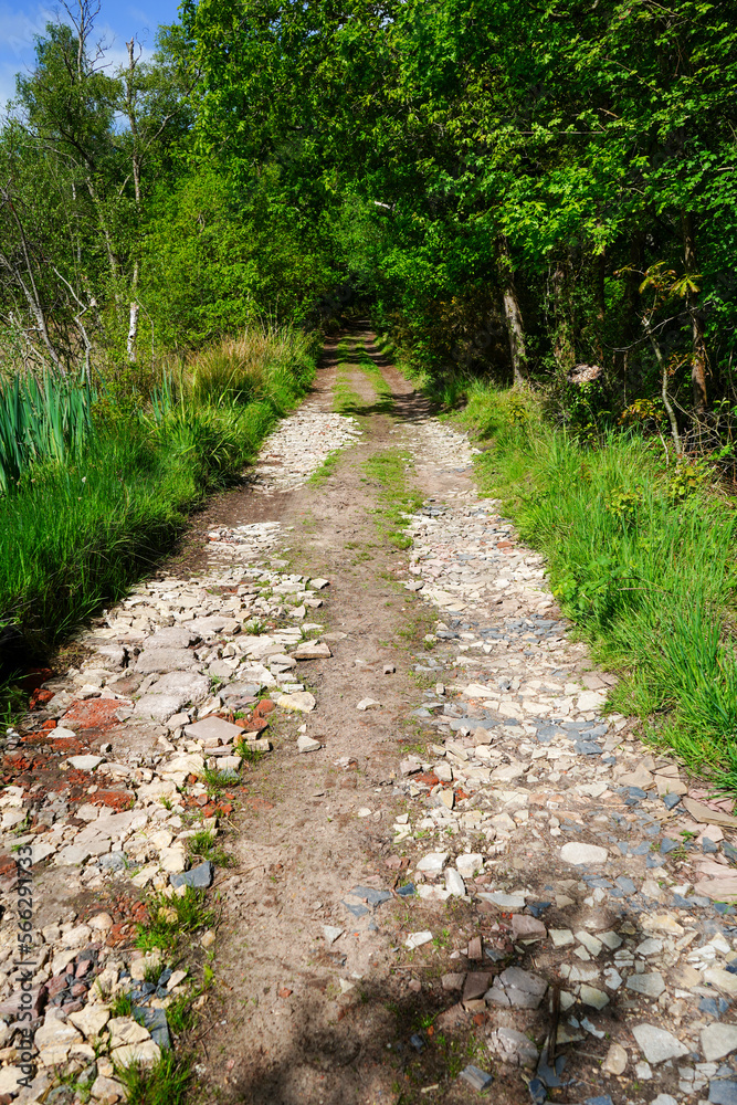 Old single track road make of broken bricks and soil Old single track road make of broken bricks and soil
