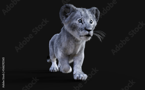 3d Illustration Portrait of White Little Lion Cub Isolated on Dark Background