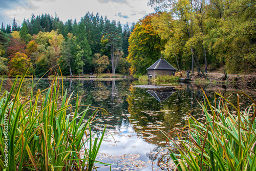 Loch Dunmore, Faskally Wood, Pitlochry, Perthshire