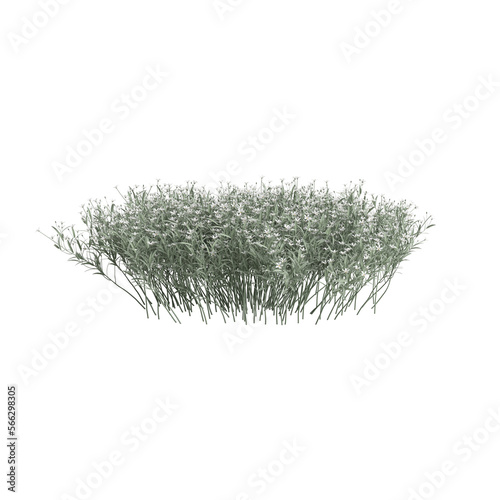 3d illustration of grass bush with flower isolated on transparent background 