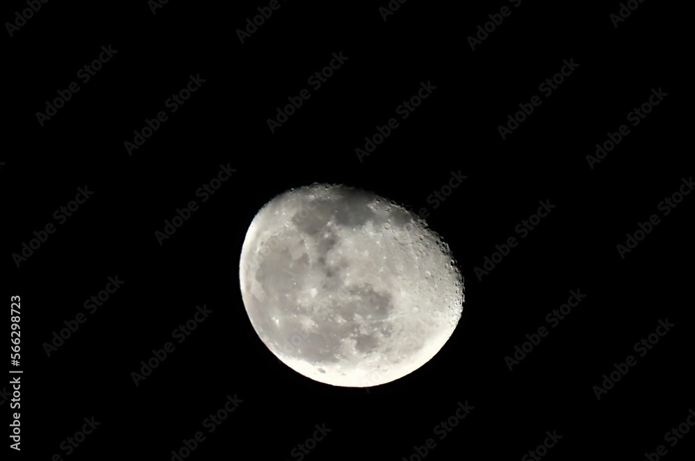 Fototapeta premium ThE MoOn.