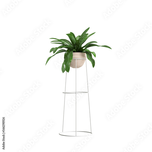 3d illustration of house plant isolated on transparent background 