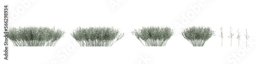 3d illustration of set grass bush with flower isolated on transparent background 