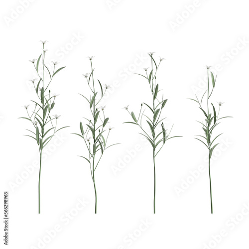 3d illustration of set of grass with flowers isolated on transparent background 