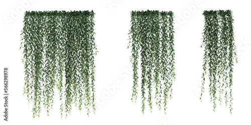 3d illustration set vernonia elliptica of isolated on transparent background 