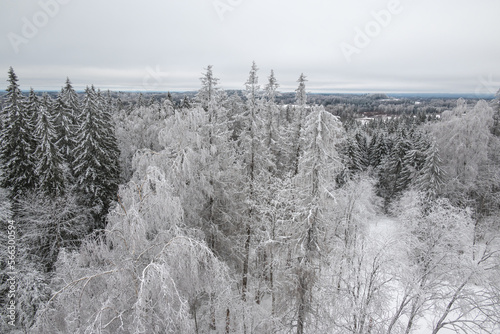 With Snow and frost covered forest and hills in moody cloudy winter landscape