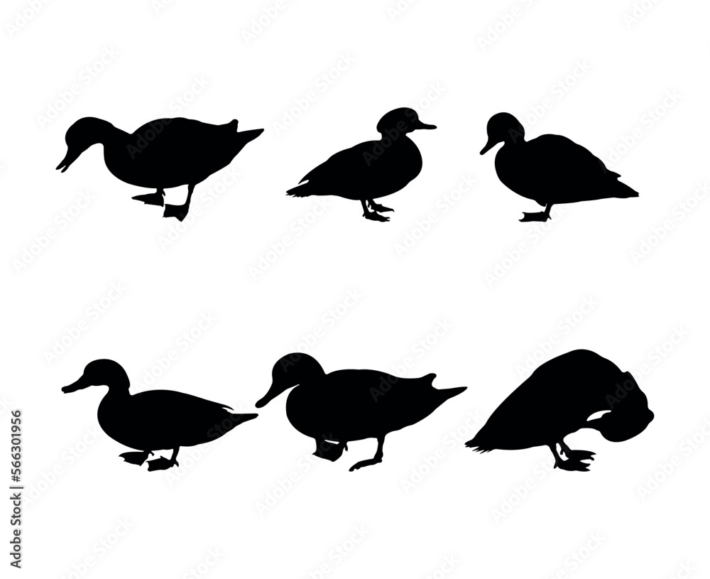 Collection of black silhouettes ducks Collection of black silhouettes ducks
