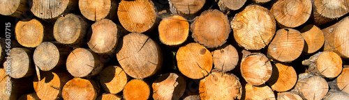 Long image of stacked woods  panoramic style . Pile of natural firewood for home fire