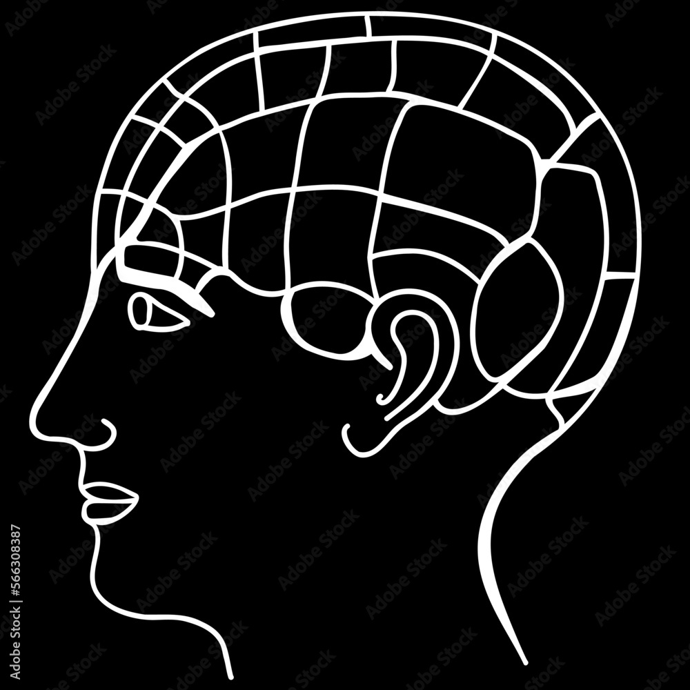 Illustration of a human silhouette with brain stock vector adobe stock