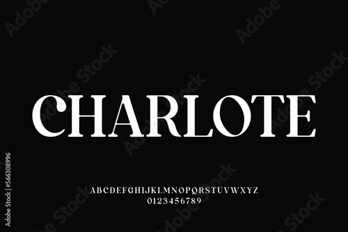 Elegant serif display font vector