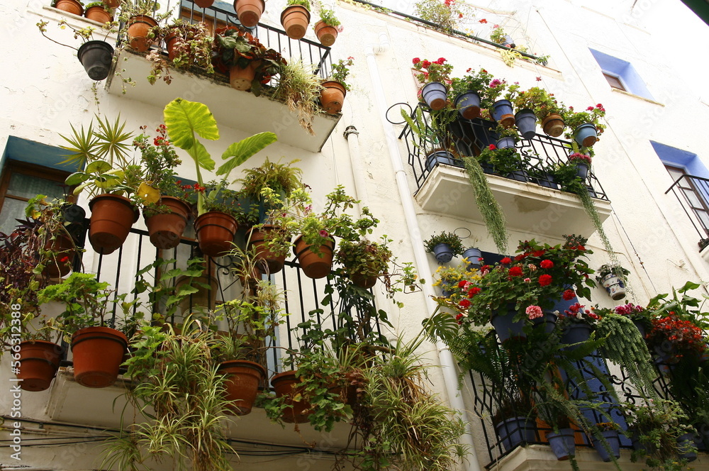 Fenêtre de maison avec petit balcon fleuri dans le centre historique de ...