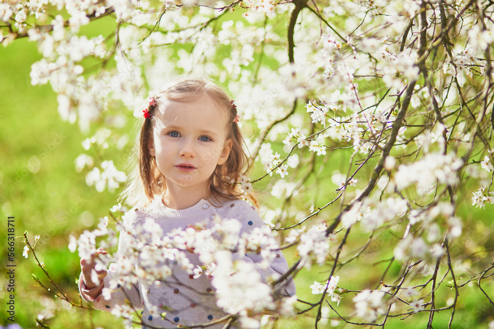 Adorable little girl enjoying nice and sunny spring day near apple tree in full bloom