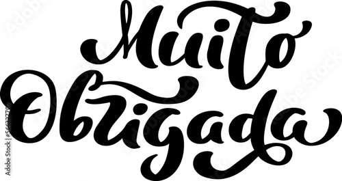 Muito Obrigada handwritten lettering text. Thank you very much in Portuguese language. Ink illustration. Modern brush calligraphy. Isolated on white background. Gratitude words for postcards