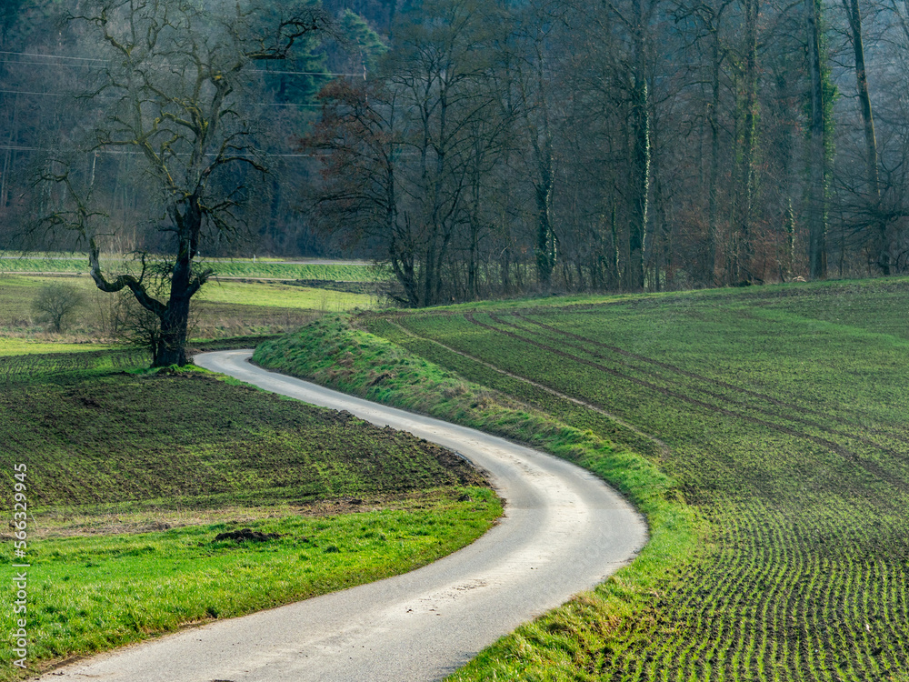 Fototapeta premium Agrarlandschaft