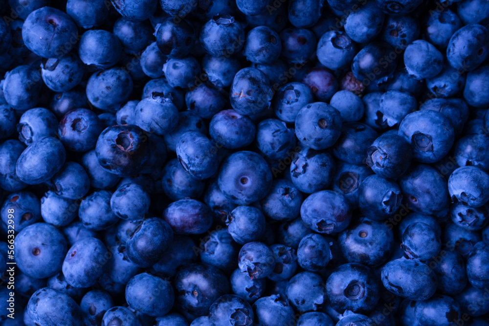 Fresh blueberry background. Texture blueberry berries close up. Fresh blueberry background. Texture blueberry berries close up.
