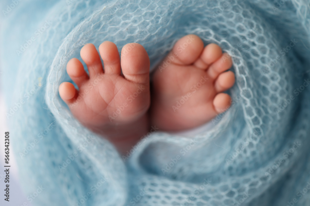 Close-up of tiny, cute, bare toes, heels and feet of a newborn girl, boy. Baby foot on blue soft coverlet, blanket. Detail of a newborn baby legs.Macro horizontal professional studio photo.