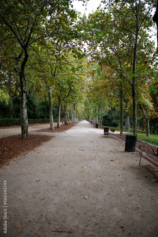 person walking through the park in autumn