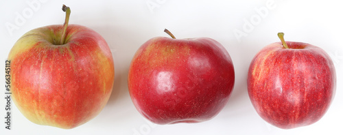 Apples of different varieties. Apples on a light background.