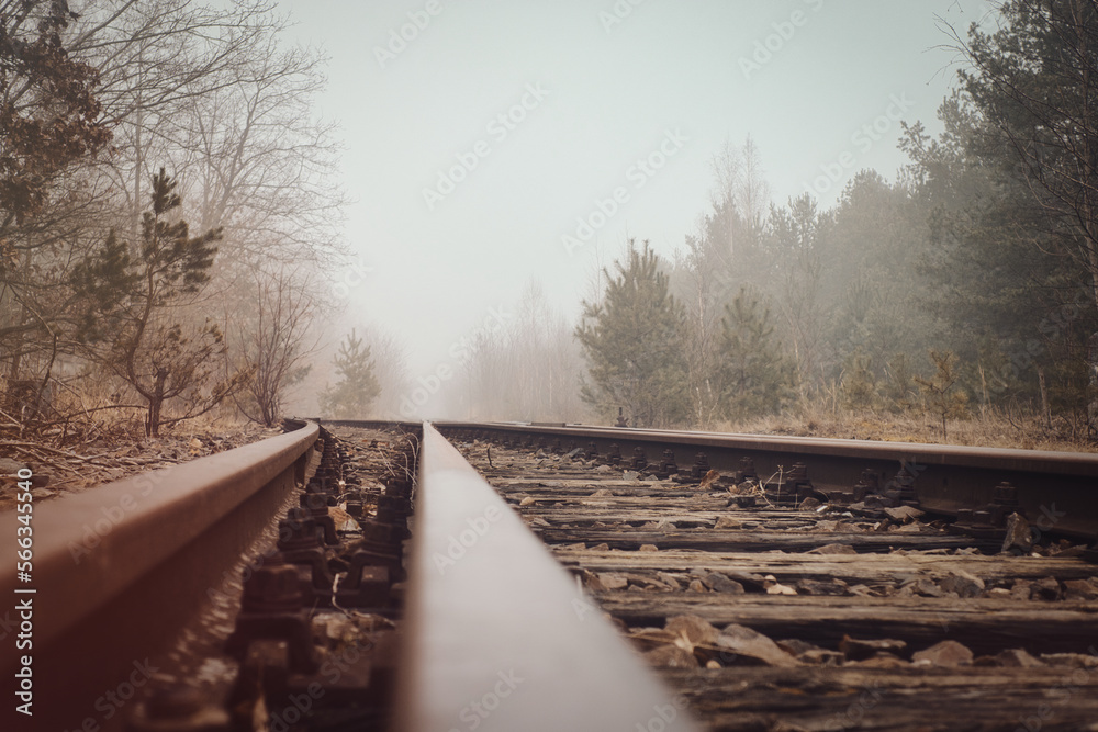 Fototapeta premium Schienen - Nebel - Bahnlinie - Verlassen - Rail Track
