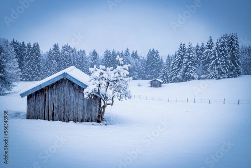 wooden hut in a winter landscape in the allgäu, germany

