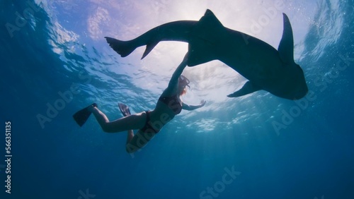 Woman free diving and snorkelling with the nurse shark, Ginglymostoma cirratum, in a tropical sea in the Maldives