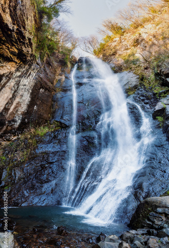 Waterfall in green forest. Mountain cascade river splashing on rock stones.