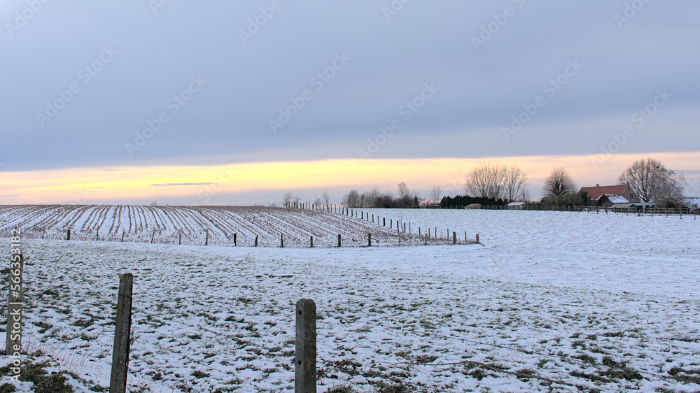 Winter field covered in snow wit fence under a clorfuld winter sunset sky in Munkzalm, Flanders, Belgium Winter field covered in snow wit fence under a clorfuld winter sunset sky in Munkzalm, Flanders, Belgium