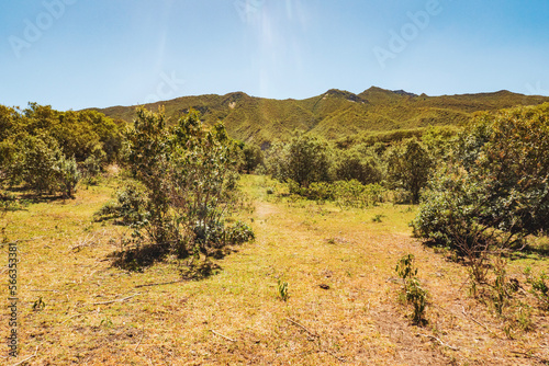 Scenic view of Mount Longonot in Naivasha  Rift Valley  Kenya