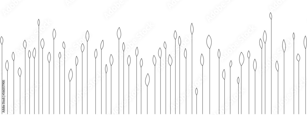 Abstract vector linear grass. Tall stalks of grass with large leaves. A simple flat field. Abstract vector linear grass. Tall stalks of grass with large leaves. A simple flat field.