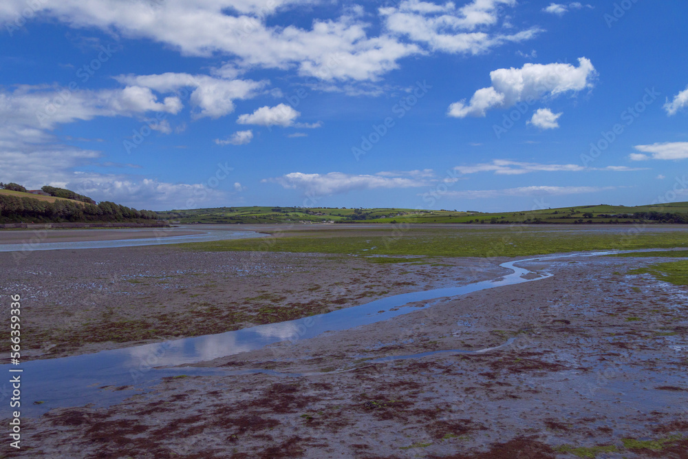 Open seabed after low tide, swamp. Green hilly landscape on a summer. White cumulus clouds in a blue sky. Irish landscape. The coast of Clonakilty Bay, County Cork.